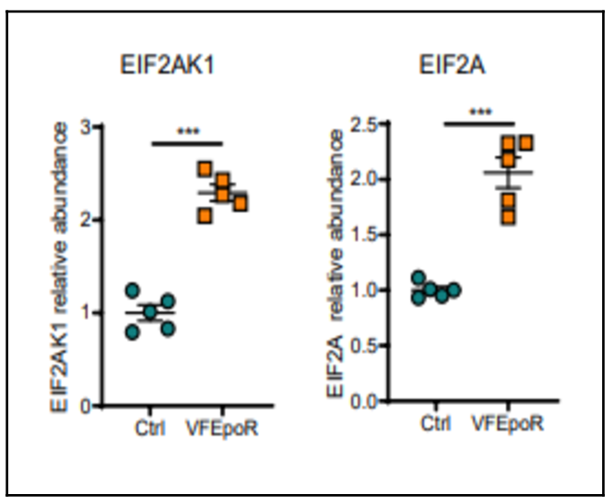 Study of JAK mutation and cardiovascular risk